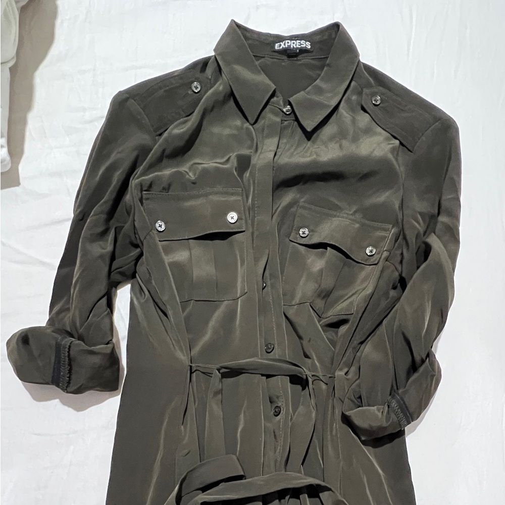 Express Dress - Picture 3 of 3